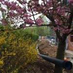 Edil GP dronero cuneo_19